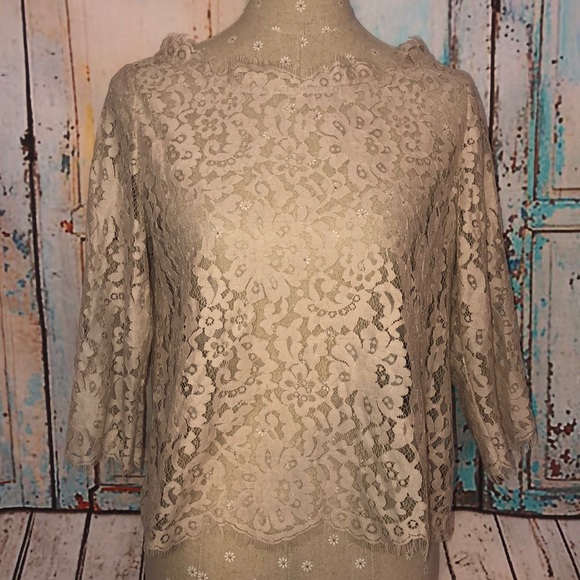 JOIE~Mushroom Elvia Back Button Lace Top~M - Picture 3 of 8